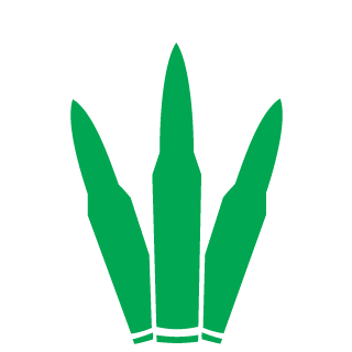 AnimaliRafa's emblem