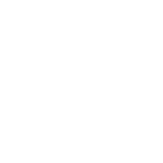 zF4K3-'s emblem