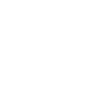 2Z9R's emblem