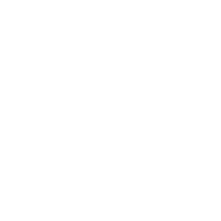 KingReza298's emblem