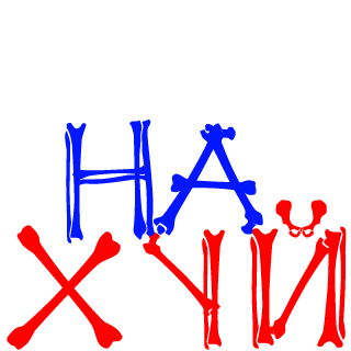 DIMONN4JE's emblem