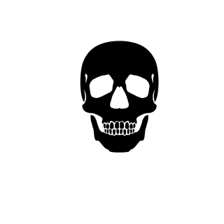 devcaptainmurphy's emblem