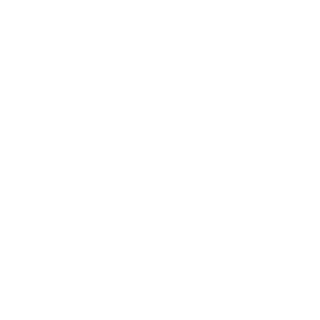 Danfox40's emblem