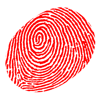 radste1995's emblem