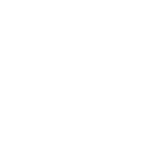 HAT 21 ACTUAL's emblem