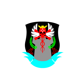 RoyJaysteel's emblem
