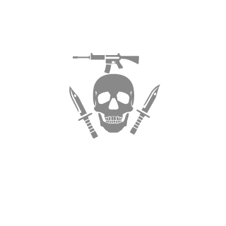 LimitedPlayer01's emblem