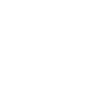 LosiRAA's emblem