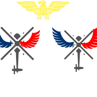 4sakenreaper's emblem