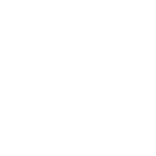 ShadowRuins1's emblem