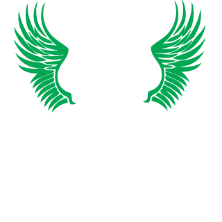vooooidddd's emblem