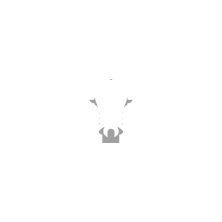 Aliti_308's emblem