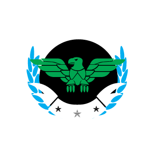 ironman48_9's emblem