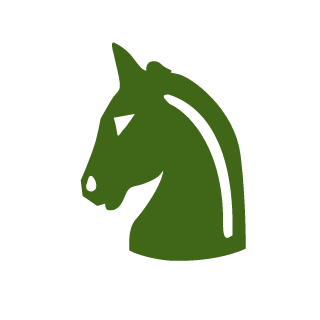 HidekiBigBoss's emblem