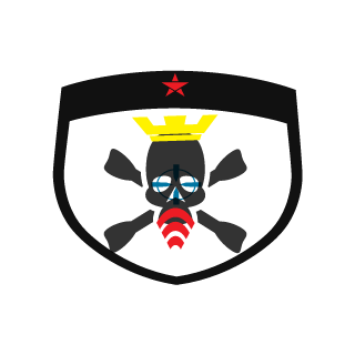 asylum66's emblem