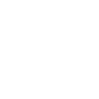 TeamPaulie's emblem