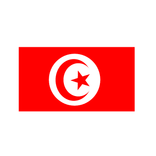 Housni_87's emblem