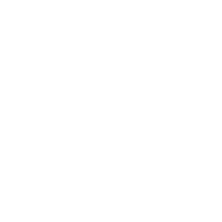 13berke's emblem