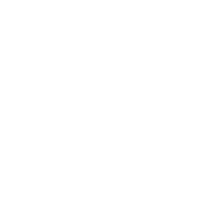 ST0NER JOE's emblem