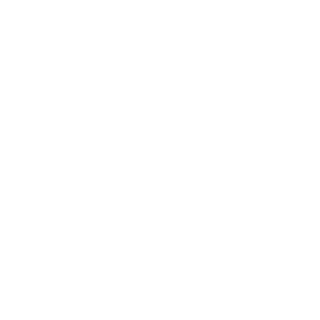 JevvFoly's emblem