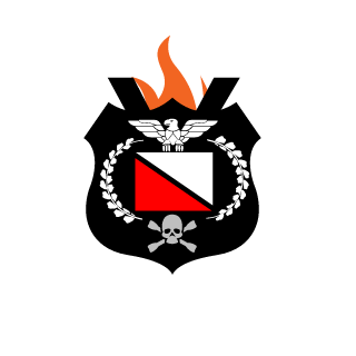 MisterFlicker's emblem