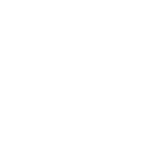 INeiva's emblem
