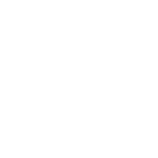 13364's emblem
