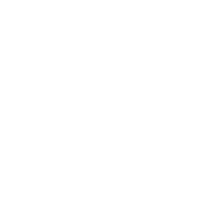NoizyDuck's emblem