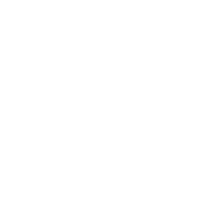 gabrielschwitzky's emblem