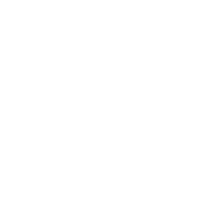 xNumberOne7's emblem