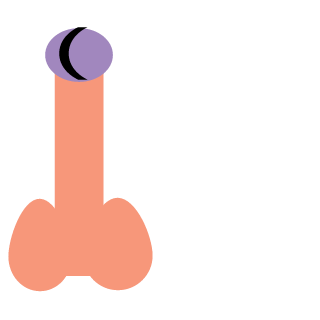 Letron1_0's emblem