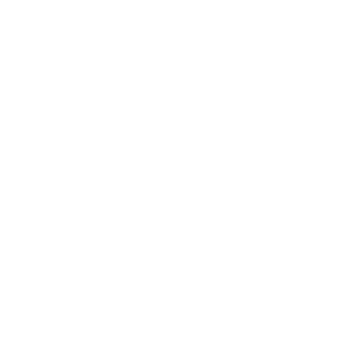 Rid2111's emblem