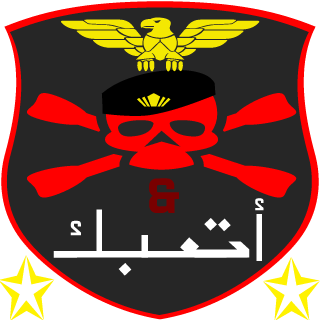 amin12233's emblem