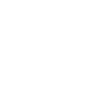 CCVS03301108's emblem