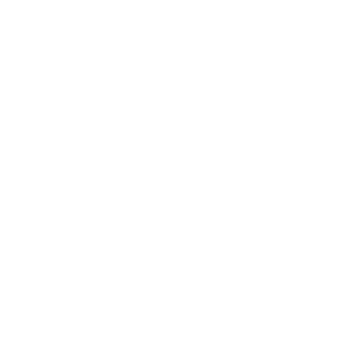 blackgauss's emblem