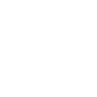 FPlayer21's emblem