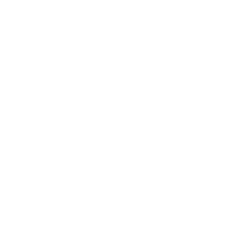 gustavovanz's emblem