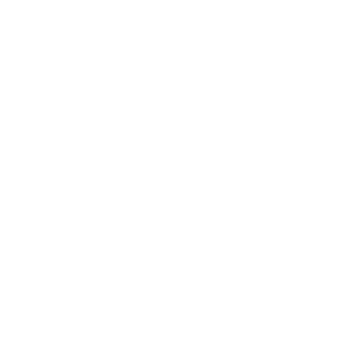 Chromey316's emblem