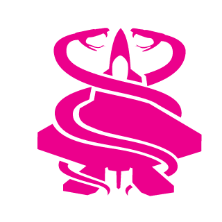 ASMR_rko's emblem