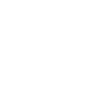 n5verCZ's emblem