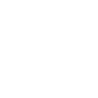 NoKasst's emblem