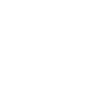 4887299bdf0bd1aa's emblem