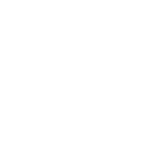 Quicksilver501's emblem