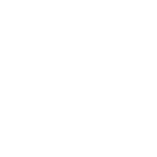 Noiceh's emblem