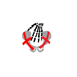 Jarp_ZA's emblem