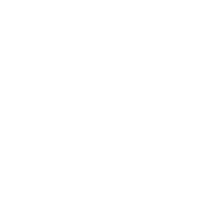 thiago_mrtins's emblem