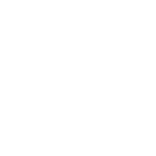 olo737's emblem