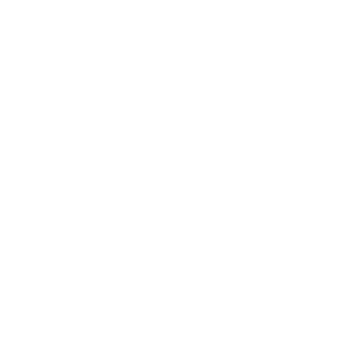 leeem0n's emblem