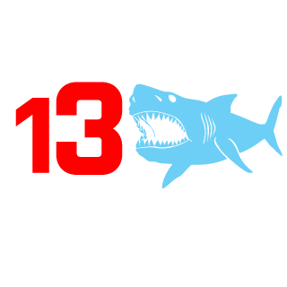 FromBelaruss's emblem