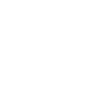 pegasus22123's emblem